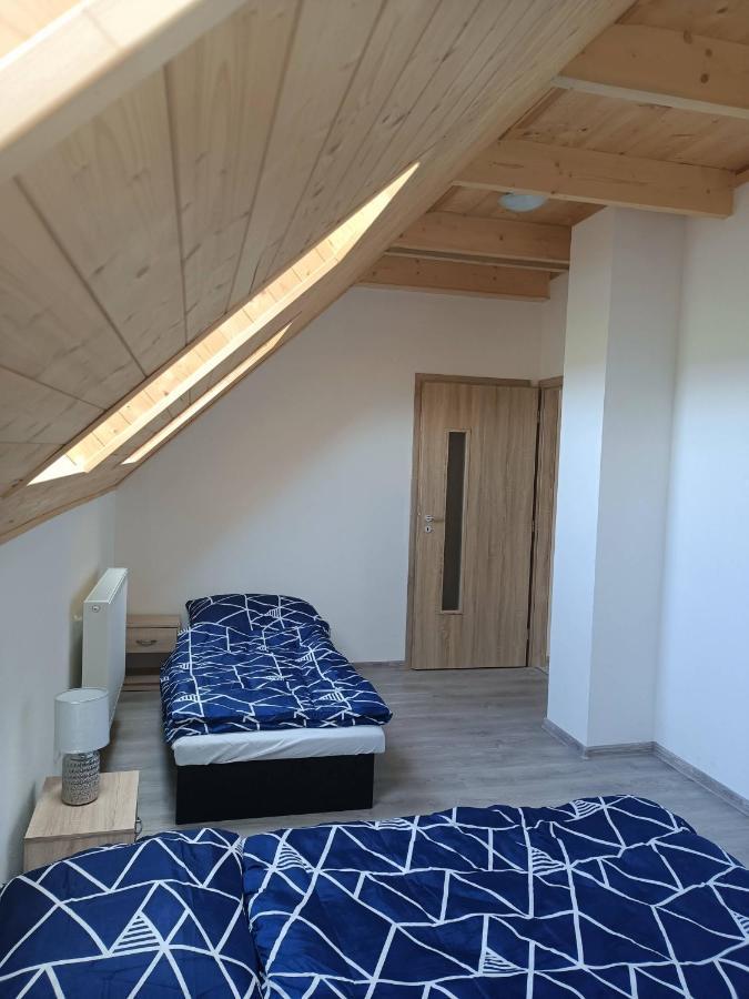 Apartmany U Olsinske Kaplicky Horní Planá Exterior foto