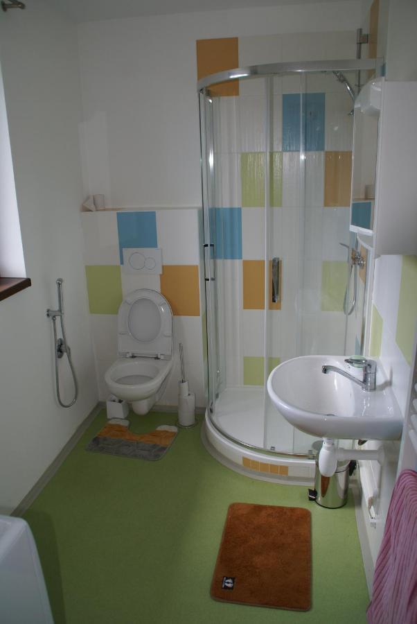 Apartmany U Olsinske Kaplicky Horní Planá Exterior foto